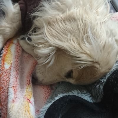 madaomadao2525's profile picture. サラリーマン/まだ30代/とりあえずたのしけりゃいっか！
たとえSNS上であっても横柄にならず誠実な人であるようにします🫡現実はいつもケラケラしてます😁人を思いやる行動に勝手に感動するタイプ🤗