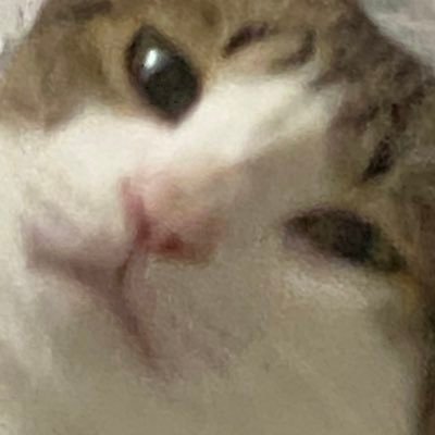 lzjdVorjxLoQfLP's profile picture. 20⬆️ 超跳腸・胃胃肝血 雑多 rps