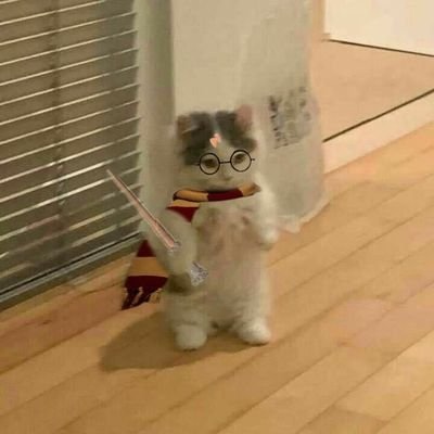 bIindingrep_'s profile picture. 