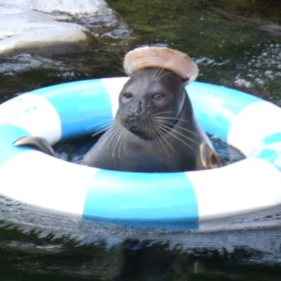 clips_46640066's profile picture. 臨床検査技師丨超音波検査士、認定心電図検査技師、内視鏡技師丨循環器、血液コソ勉中✏️
情報セキュリティマネジメント丨個人情報保護士丨
ITリテラシーも上げて行きたいので、多分野に股がってフォロー失礼します。