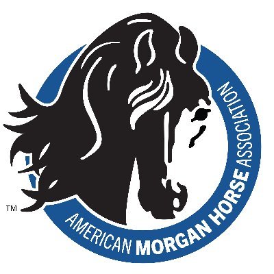 AmericanMorgan Profile Picture