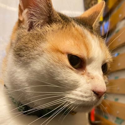 おおしろさんのプロフィール画像