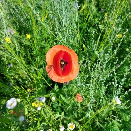 Werner02898979's profile picture. Mann sucht