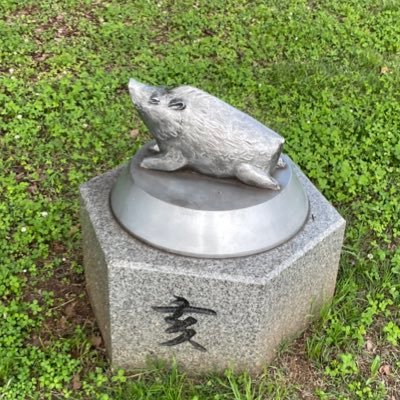 NK2L2VeCXdjO9ri's profile picture. 2022年、突然SixTONES沼に落ちたシルバー世代なんですけど。こんなにも楽しい日々、いいんですか💕     ちょっとだけ🖤💙寄りの箱推し