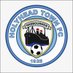 Holyhead Town FC (@TownHolyheadFC) Twitter profile photo