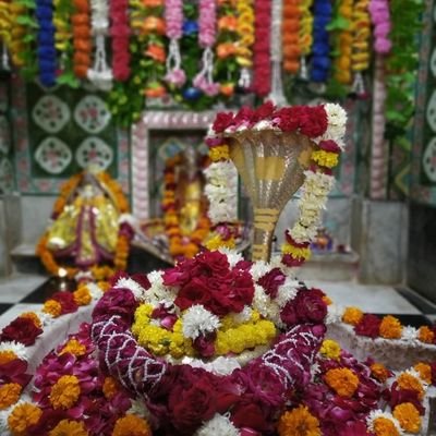 GayatriTraders3's profile picture. Agarwal