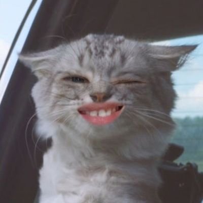 tsy1997's profile picture. Happiness makes you beautiful.