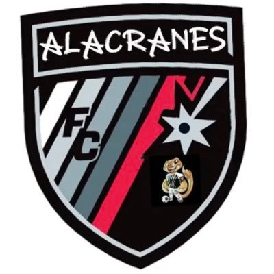 Hola vengo de TikTok mi arroba @rol_alacranes_fc