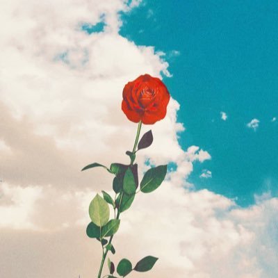 조아🧡さんのプロフィール画像