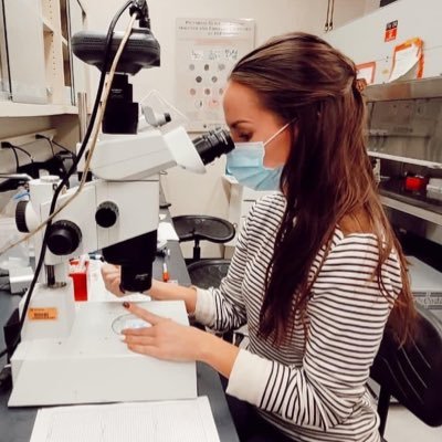 PhD candidate in Animal Molecular and Cellular Biology at UF 🐊| Daigneault Lab | studying reproductive biology and gene editing 🧬