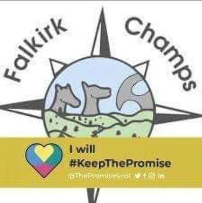 Falkirk’s Champions Board enables and empowers care experienced young people to make change to policy and practice in our local authority.