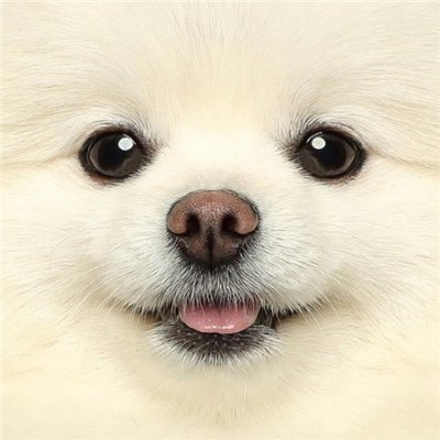 Web3.0
https://t.co/cQBOJtGLsf
https://t.co/lEcAqGp2Ib…