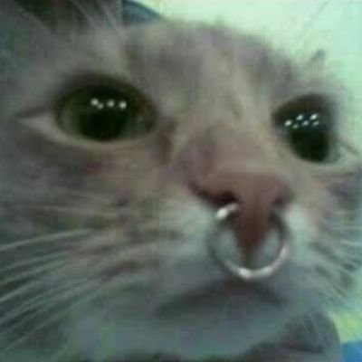 𝐕𝐚𝐯𝐚さんのプロフィール画像