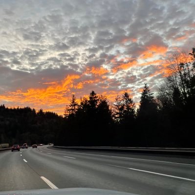 laxmansole's profile picture. 