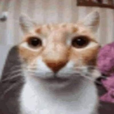 H1Dr0campo's profile picture.