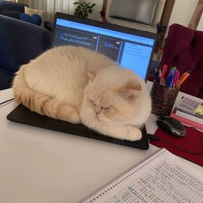 BitName45's profile picture. Don't go easy with me I've 9 life 😈