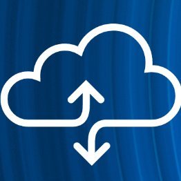 bkupse's profile picture. Data Resiliency Expert

The opinions shared are my own and do not represent those of my employer.