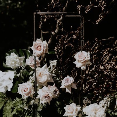 deadsp1r1ts's profile picture. 20|Ok. Have a good day.