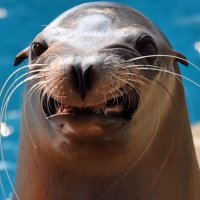 Taylor Betts (@thompsonbetts) 's Twitter Profile