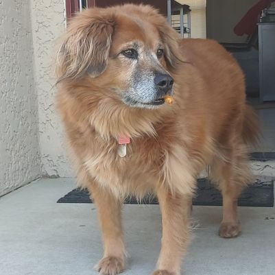 BeachBoyCaleb's profile picture. 