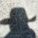 David Bartley - @GODavidBartley - Twitter