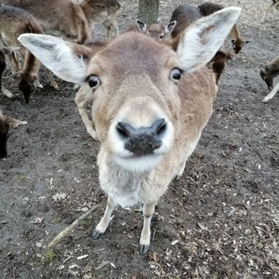 Gartenzeit ist die schönste Zeit.