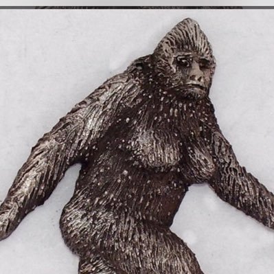 Sassy Sasquatch 🤓 Profile