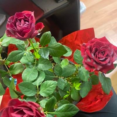 ShahBulay's profile picture. 🔞 Please be 21+
I am an ordinary man with an extraordinary capabilities ❤️🖤