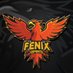 Fenix (@FenixEsports_) Twitter profile photo
