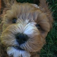 glitchfixer7211 (@glitchfixer5357) 's Twitter Profile