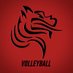 Pacific Volleyball (@BoxerVBall) Twitter profile photo