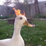 Killoposz1's profile picture. Apex Legends Player for ? | Age 23 | - https://t.co/cYBYx56rbb