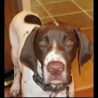 Trent Mulloy (@tamulloy) Twitter profile photo