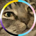 MajesticBirbBoi (@majesticbirbboi) Twitter profile photo MajesticBirbBoi (@majesticbirbboi) Twitter profile photo