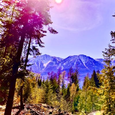 Inland Temperate Rainforest Training Center