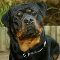 Paul Severs (@paul_severs) 's Twitter Profile
