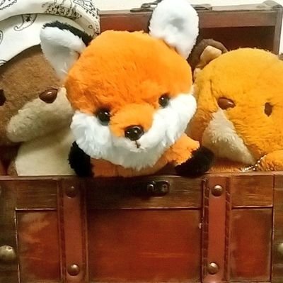 毛糸（赤い狐）さんのプロフィール画像