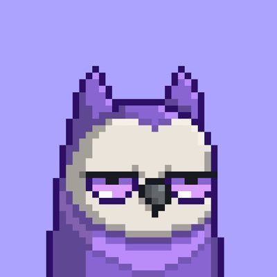 ghostxjpg's profile picture. your local degen.