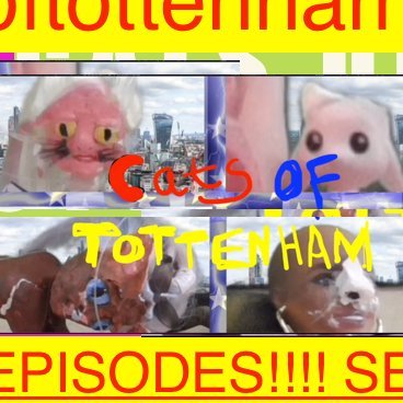 CATS OF TOTTENHAM (a webseries) 
👆 four women 👩‍🦰👩‍🦰👩‍🦰👩‍🦰 change the world by turning themselves into cats 🐱!!!