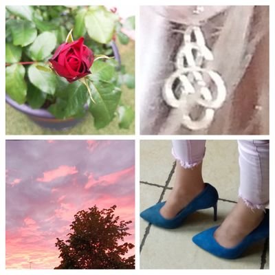 Gail_Aug's profile picture. 