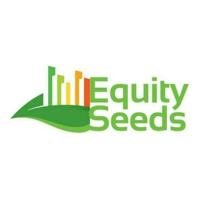 EquitySeeds Consulting