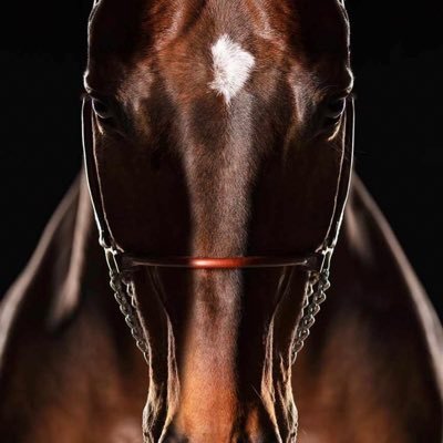 krossMT's profile picture. Cross M.T.