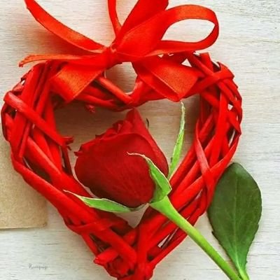 marcin_steve's profile picture. Simple and Honest