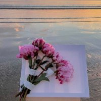 .. (@0vza0arbzw3dmcu) 's Twitter Profile