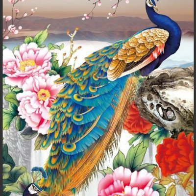 Fakhrud92856324's profile picture. 