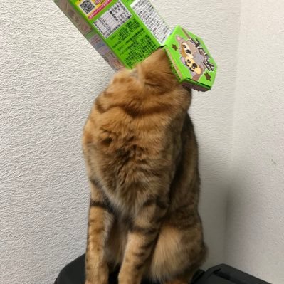 主にFF14用アカウント Ele鞄からDurandalに引っ越しました。主にタンクやらせてもらってます。メインは侍だったような気もしたりしなかったり。