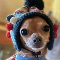 Dame Piglet🤠 (@dame_thuglife) 's Twitter Profile