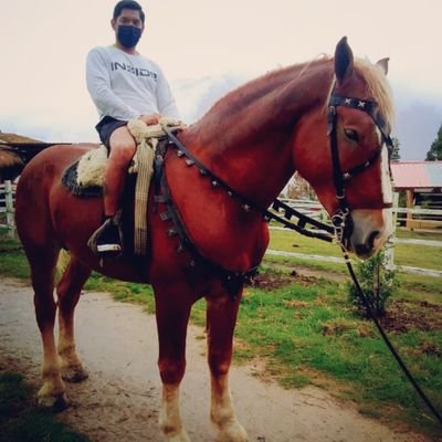 AndyRod05628719's profile picture. Viajar , Aprender , Conocer ,Disfrutar