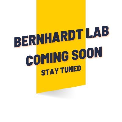 Bernhardt Lab Profile