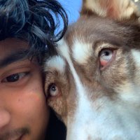 gio (@gioaintgotit) 's Twitter Profile